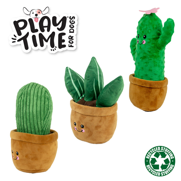 Ancol Cuddly Cactus Toy