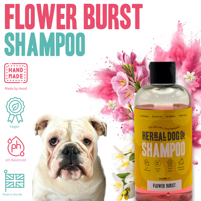 Flower Burst Shampoo -  Herbal Dog Co