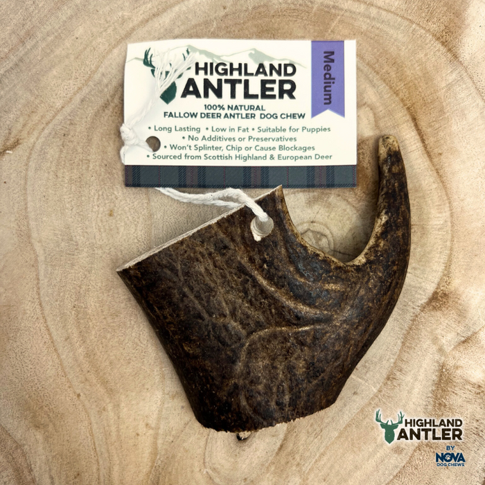 Nova Fallow Antler Medium