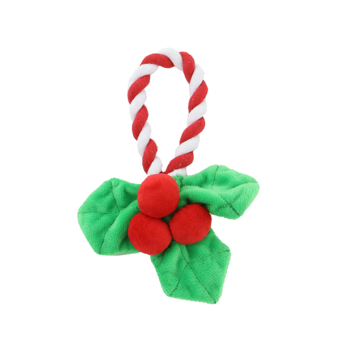 Ropey Mistletoe - Ancol