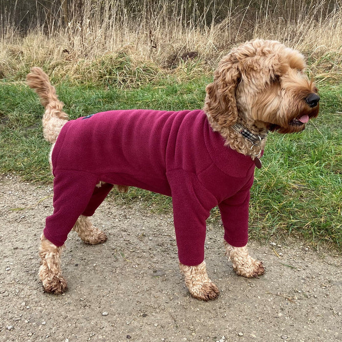 Pawsome Suits 4 Leg Polar Fleece Dog Suit
