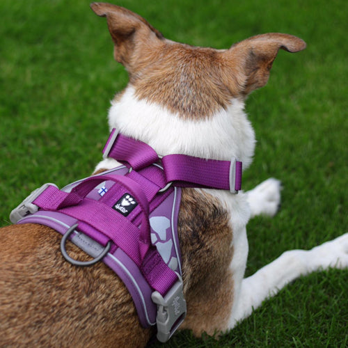Weekend Warrior Harness - Hurtta