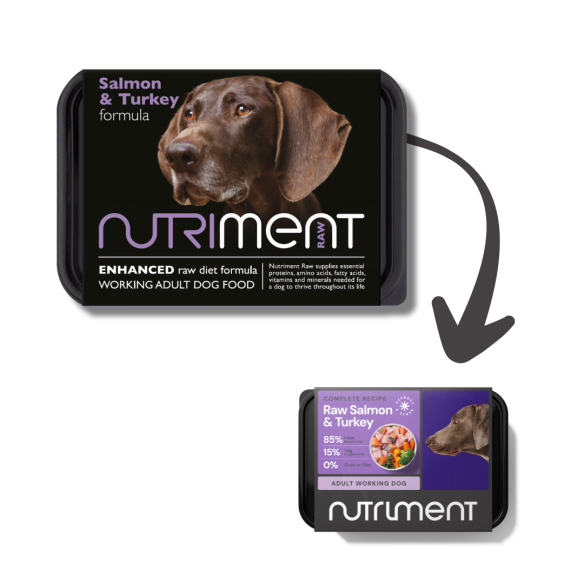 Salmon & Turkey Formula - Nutriment