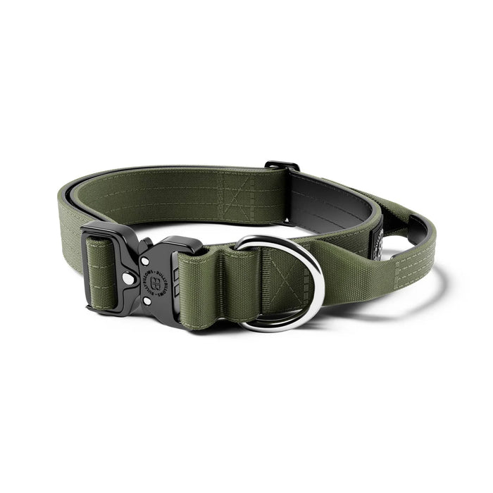 2.5cm Combat Collar - BullyBillows