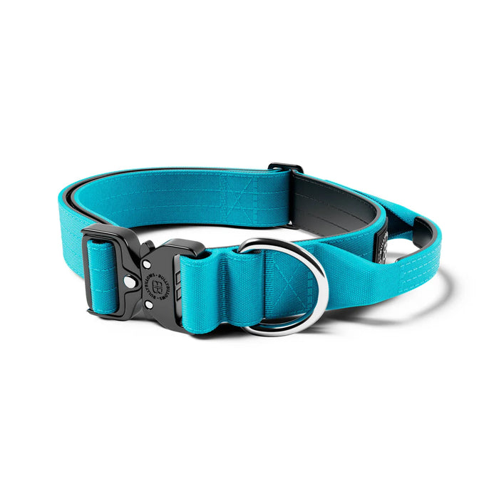 2.5cm Combat Collar - BullyBillows