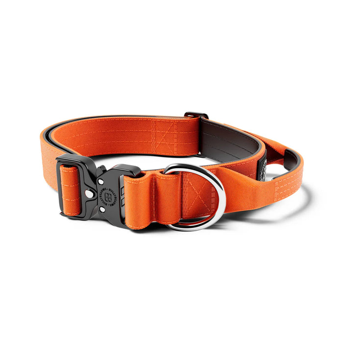 2.5cm Combat Collar - BullyBillows