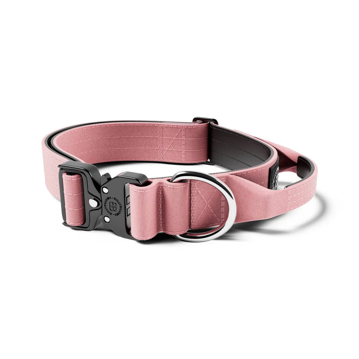 2.5cm Combat Collar - BullyBillows