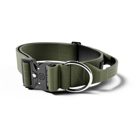 5cm Combat Collar - BullyBillows