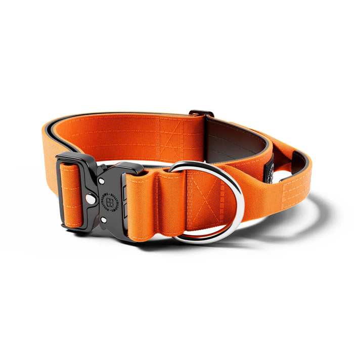 5cm Combat Collar - BullyBillows