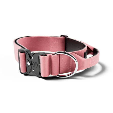 5cm Combat Collar - BullyBillows