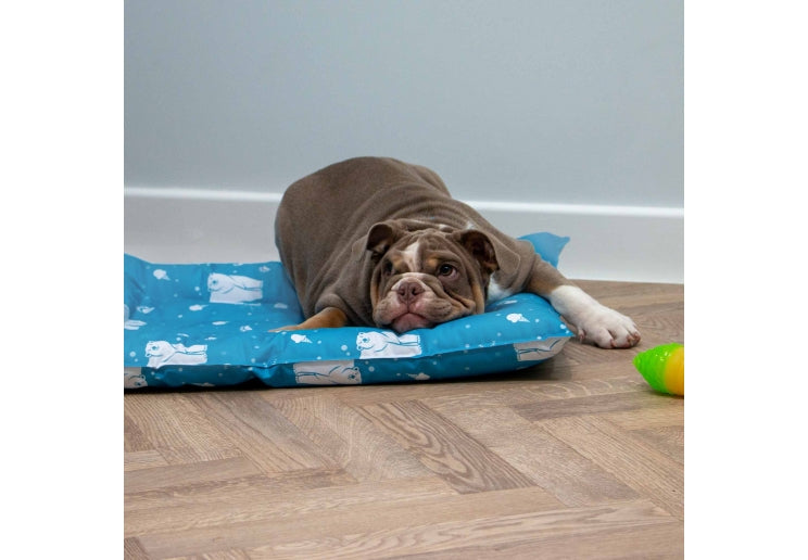 Ice Paws Cooling Bed