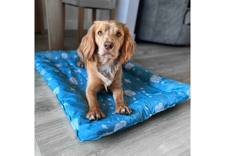 Ice Paws Cooling Bed