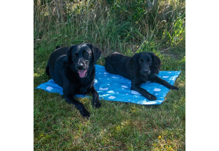 Ice Paws Cooling Mat