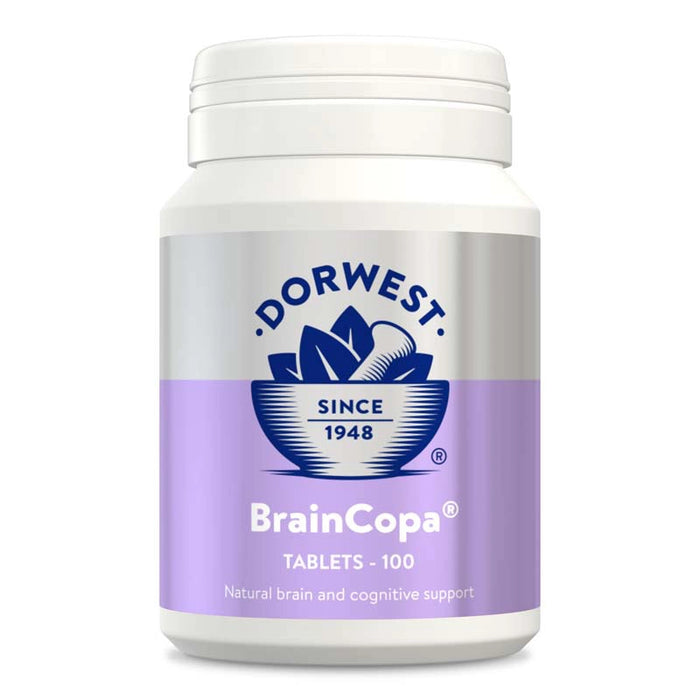 BrainCopa Tablets - Dorwest