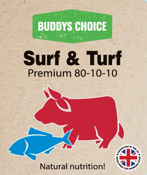Buddy's Choice Surf & Turf  80-10-10