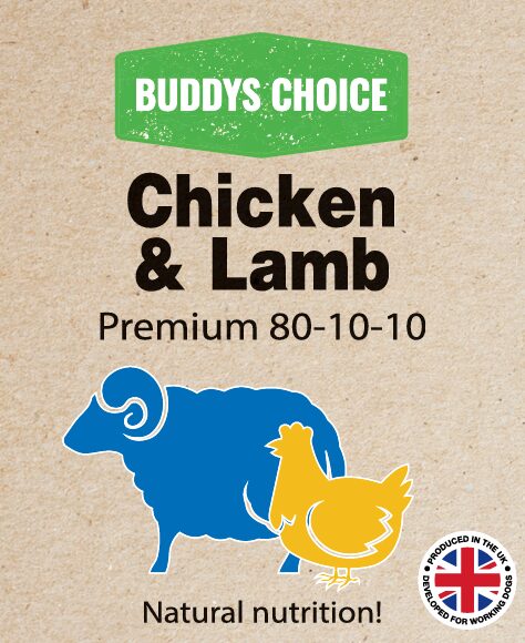 Buddy's Choice Chicken & Lamb 80-10-10