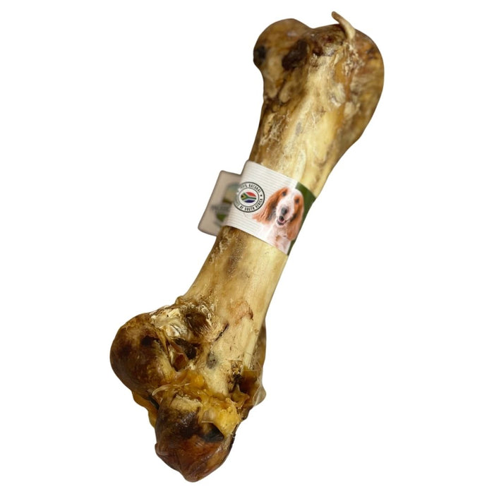 Ostrich Dino Bone - Paddock Farm