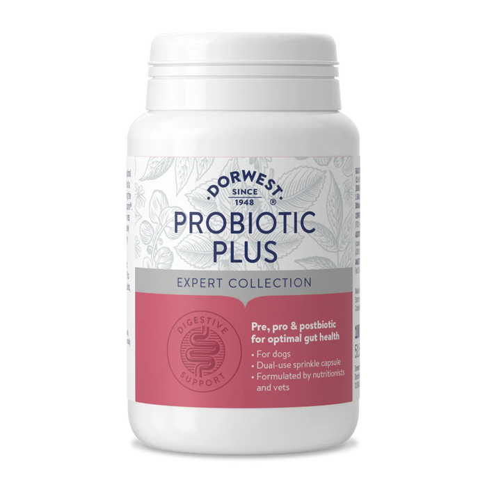 Probiotic Plus for Dogs - Dorwest