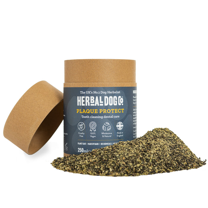 Plaque Protect - Herbal Dog Co.