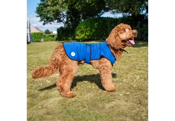 Ice Paws Cooling Coat