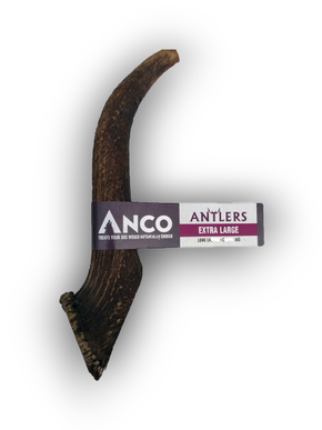 Antler - Anco