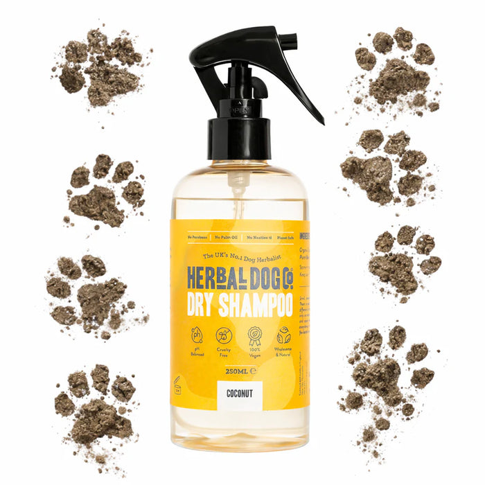 Coconut Dry Shampoo - Herbal Dog Co.