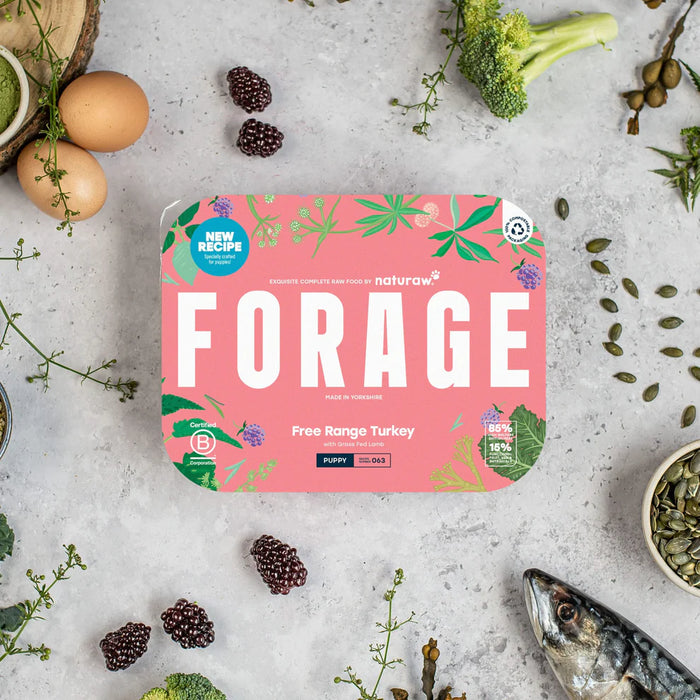 Forage Puppy Turkey - Naturaw