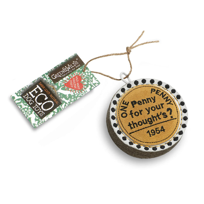 Penny For Your Thoughts Eco Toy
