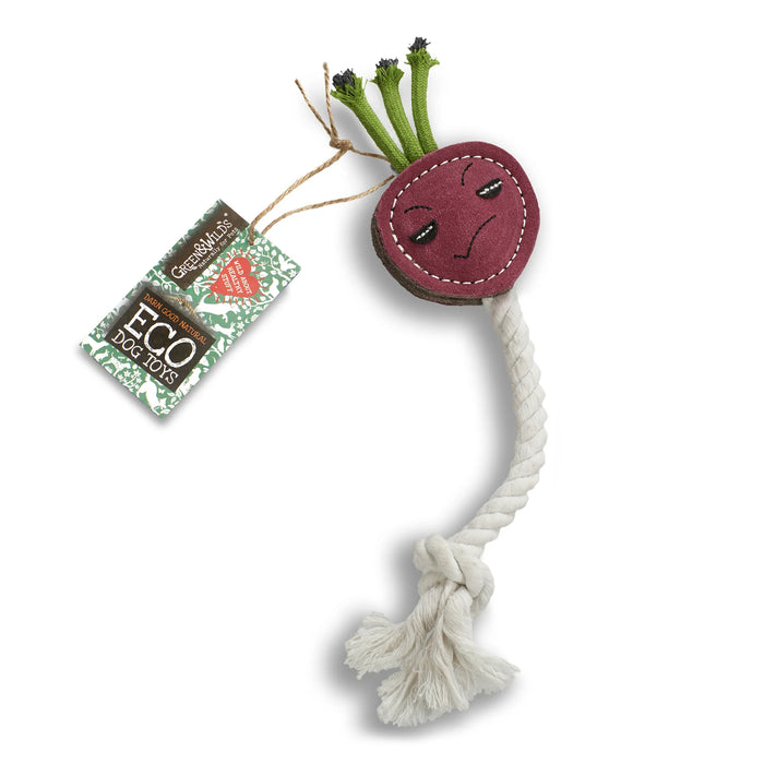 Ruby the Radish Eco Toy