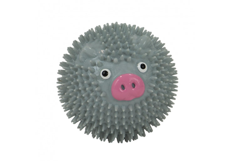 Small Bite Spiky Pig Ball