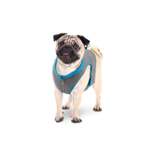 Chill Out Cooling Vest - All For Paws