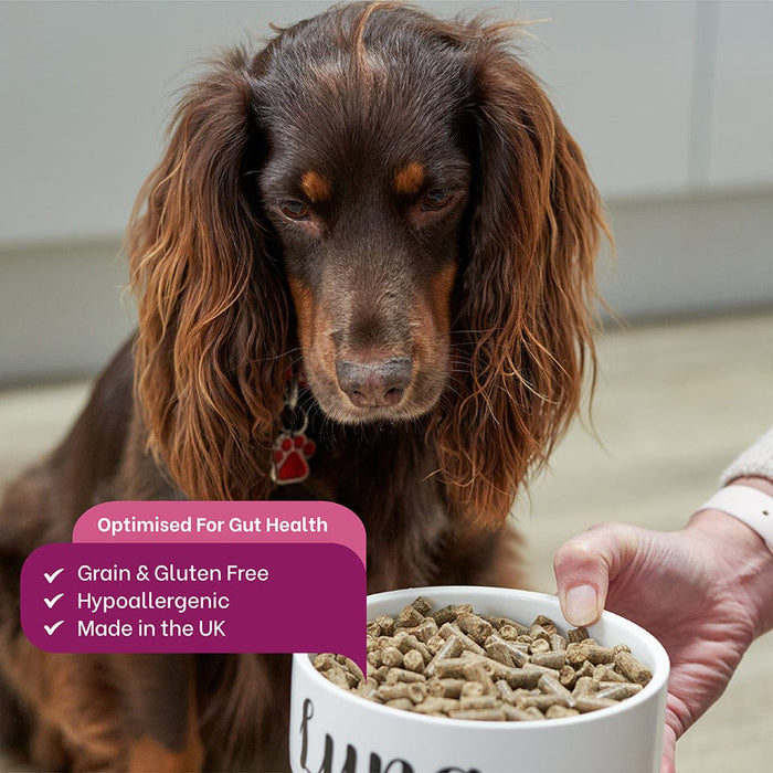 Walter & Drake Ocean Fish Cold Pressed