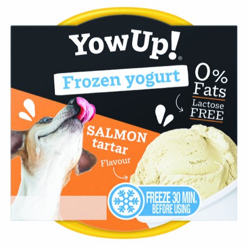 Yowup! Frozen Yoghurt Salmon Tartar