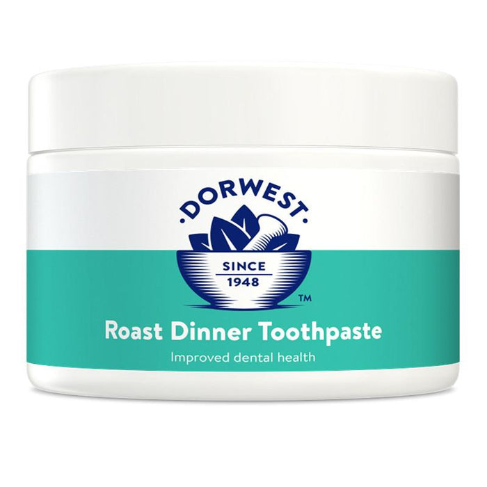 Roast Dinner Toothpaste - Dorwest